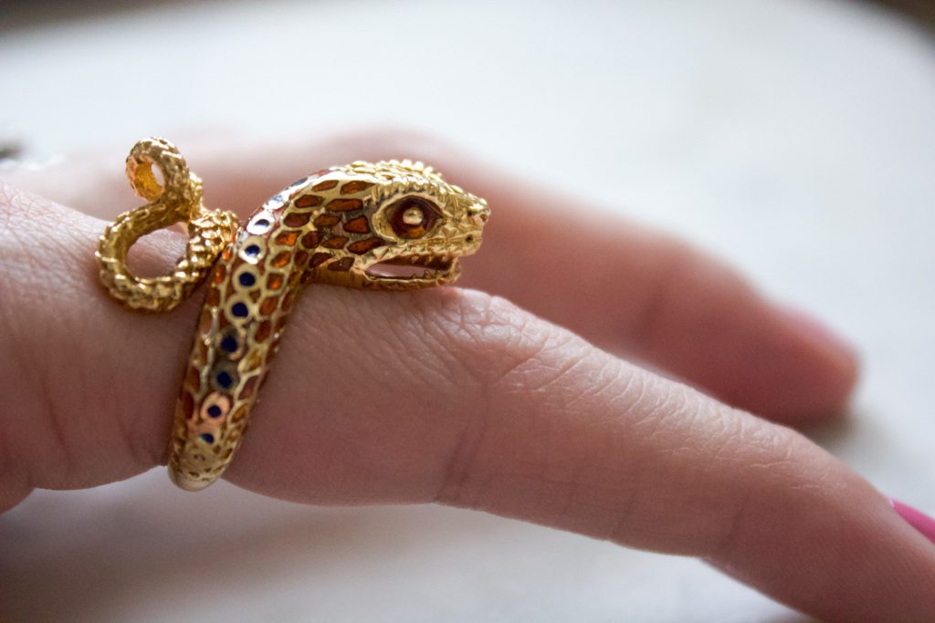 The Most Serendipitous Thing That Has Ever Happened to Me, snake ring
