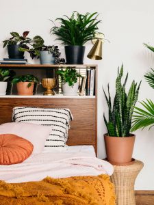 Harper Girls Mother's Day Gift Guide Living Things from Bloomscape
