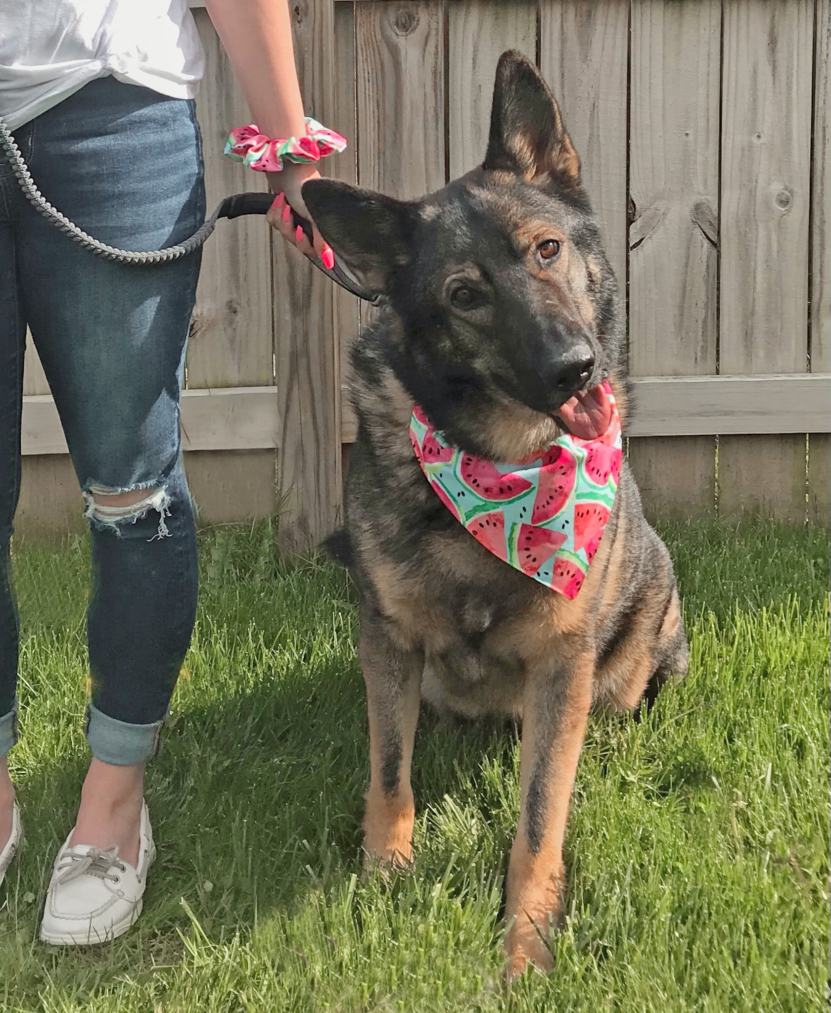 Mutts & Meows Pet Accessories