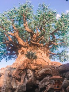 Planning a Trip to Disney World on a Budget