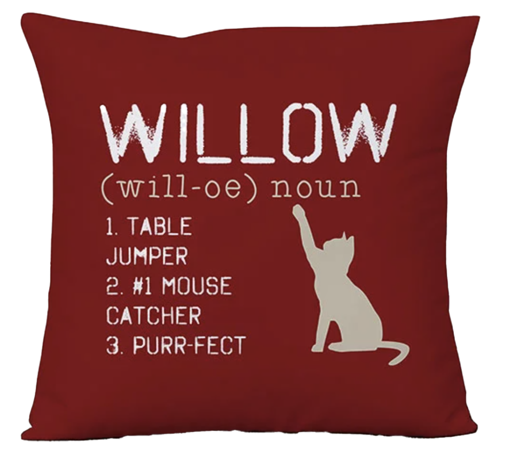 cat pillow